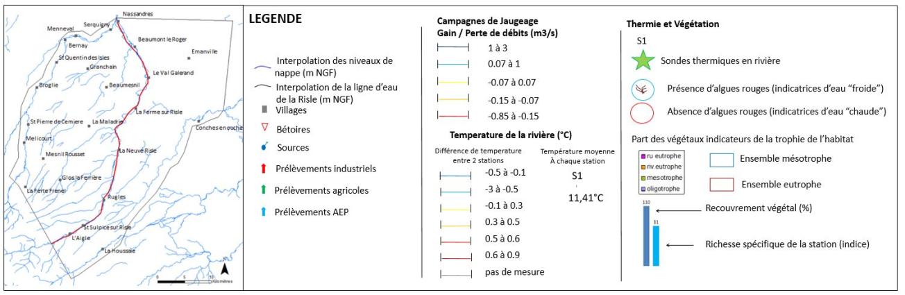 Légende de la coupe longitudinale de synthèse