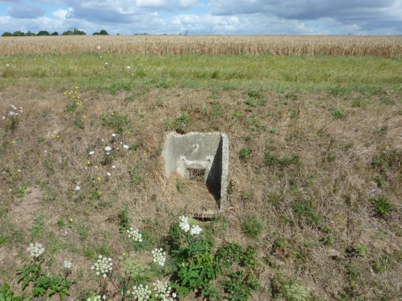 Unité de connexion (il s’agit ici d’une bouche de décharge) en sortie d’une unité drainée vers le réseau de collecte public