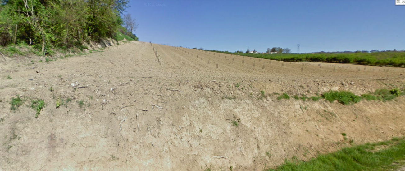 Figure 1 - Affleurement de Villotte, en bordure de la route, en rive droite du Tolzac (Platel JP., 2014)