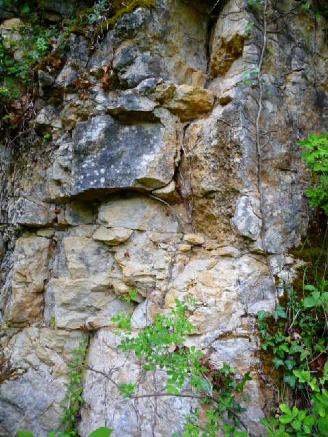 Figure 1 - Affleurement fracturé dans la petite carrière abandonnée de Regrunel (Platel JP., 2013)