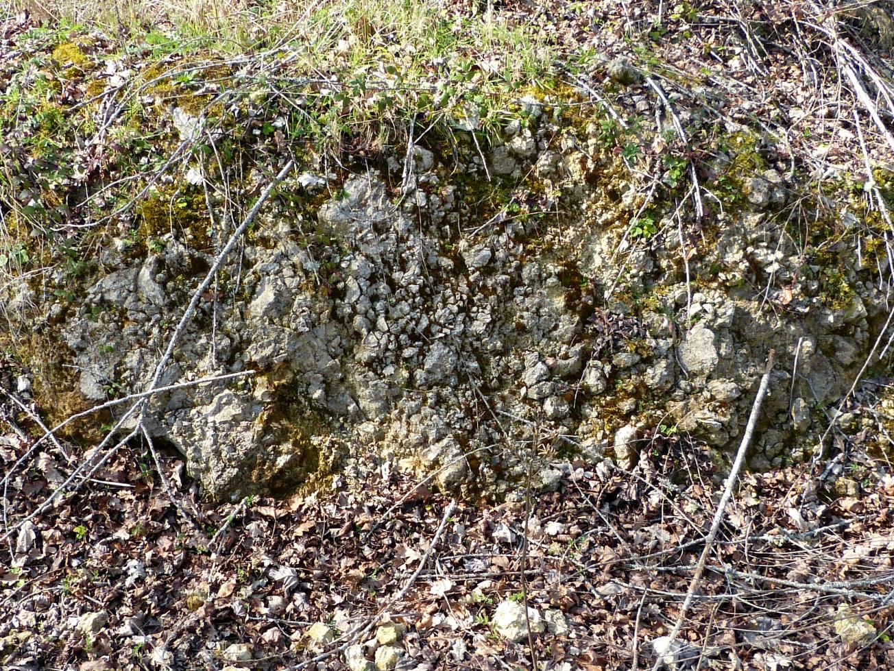 Figure 1 - Calcaires recristallisés du Maastrichtien (Platel JP., 2014)