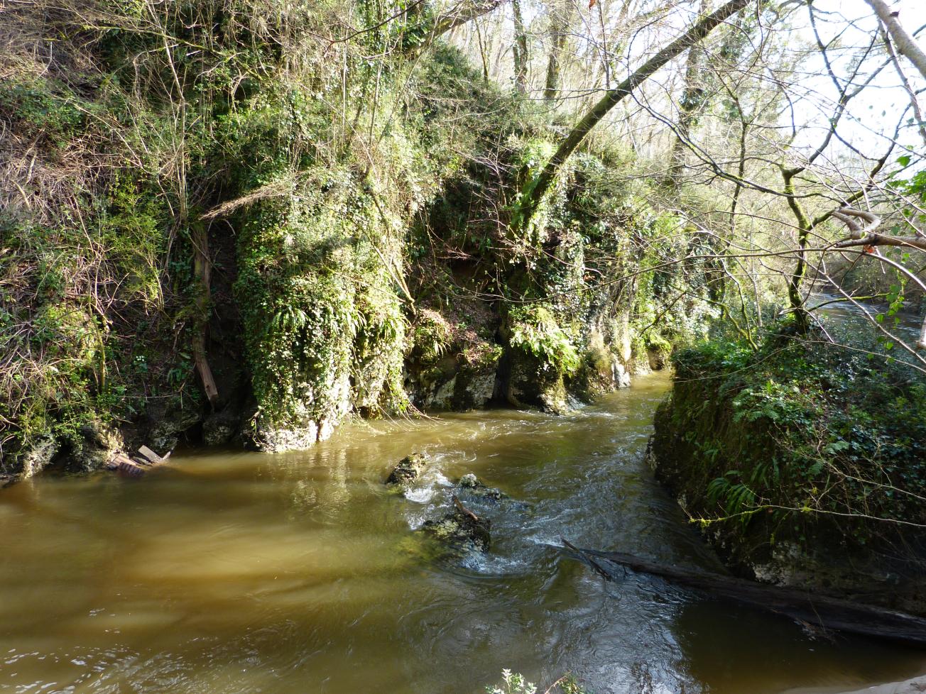 Figure 1 - Falaise de calcaires dolomitisés, très recristallisés, du Cénomanien moyen, bordant l'Estampon entre le moulin de Cousseilhat et le secteur sous l'allée de Champagne (Platel JP., 2014)
