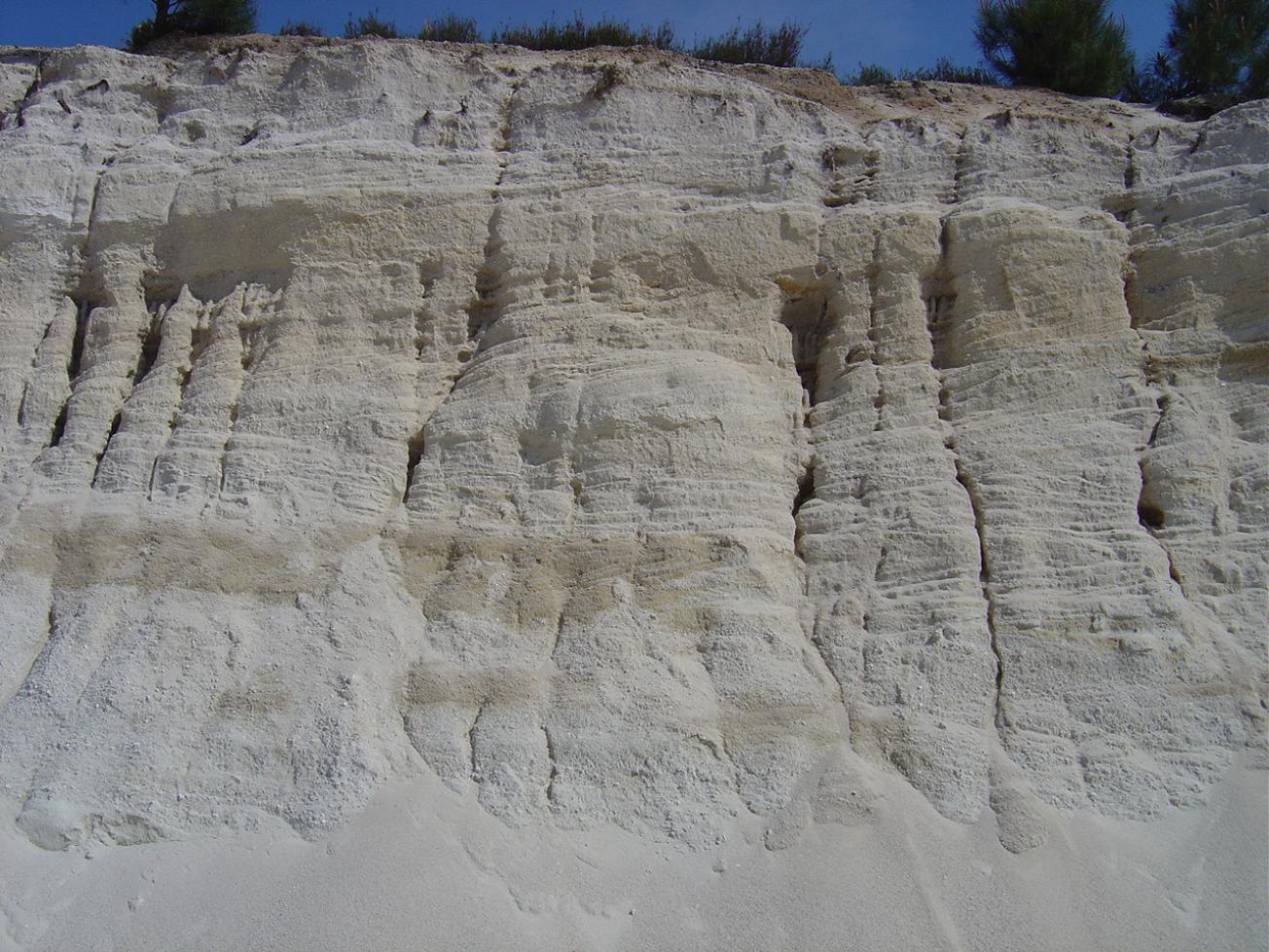 Figure 1 - Formation de Belin dans la sablière de Ballion - Belin-Béliet