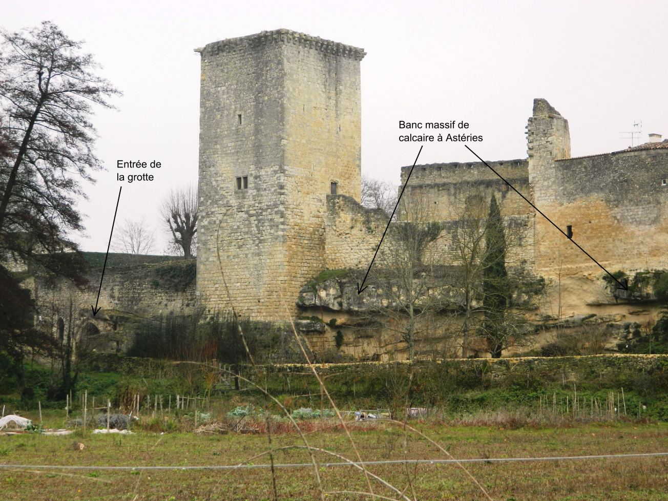 Figure 1 - La citadelle de Rions sur les calcaires à Astéries (© Galey A., BRGM, 2012)
