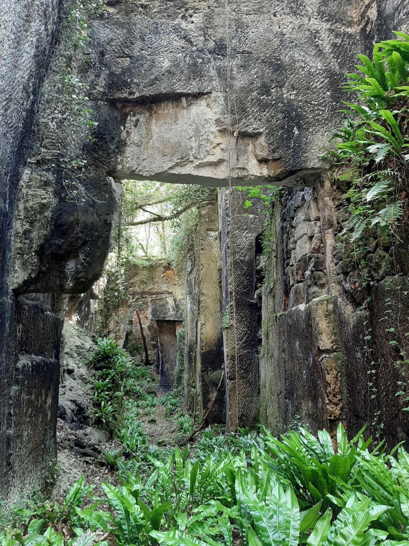 Figure 1 - Photo des gorges de la carrière de Crazannes visibles sur le parcours guidé (©BRGM,2023)