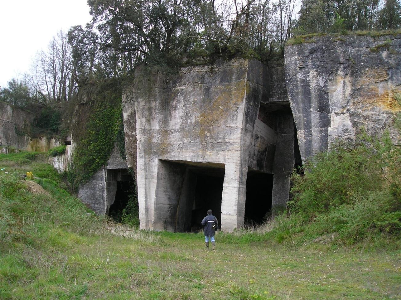 Figure 1 - Photo du site des Caves noires à Saint-Même-les-Carrières (© BRGM,2007)