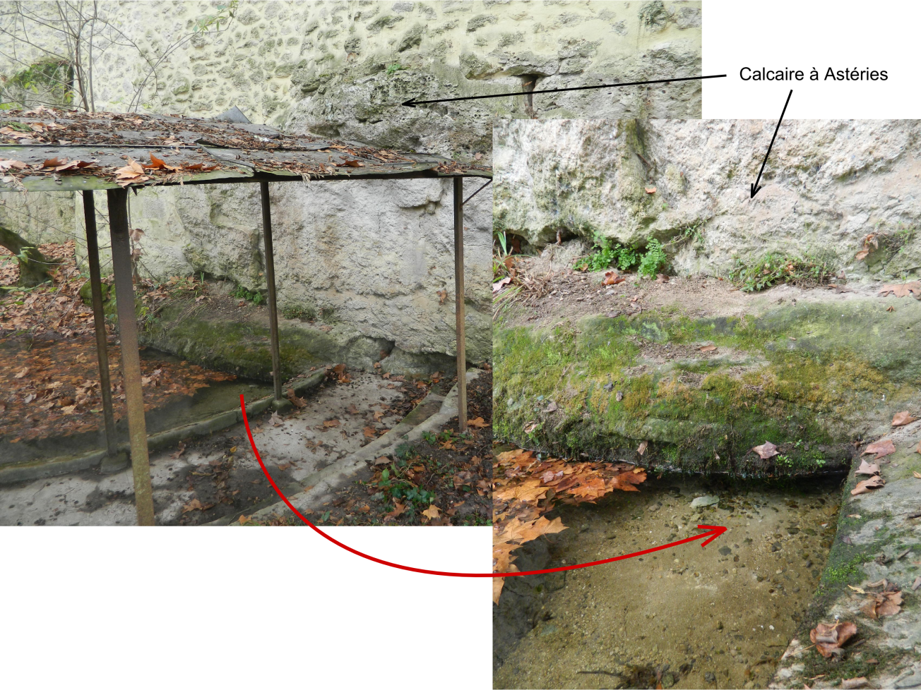 Figure 1 - Source du « muret du Château Barthé » à Cérons (© Galey A., BRGM, 2012)