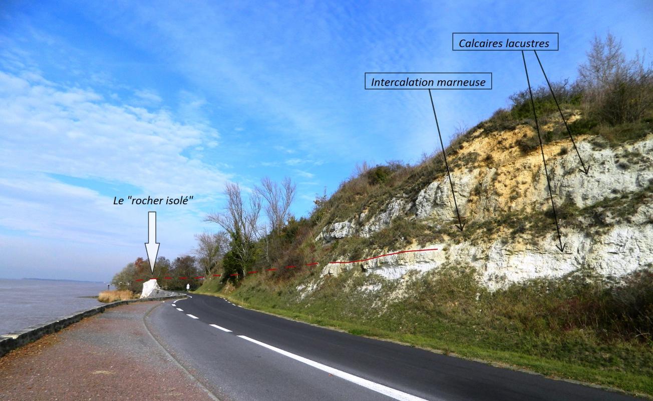 Figure 2 - Bancs calcaires marneux au Roque de Thau