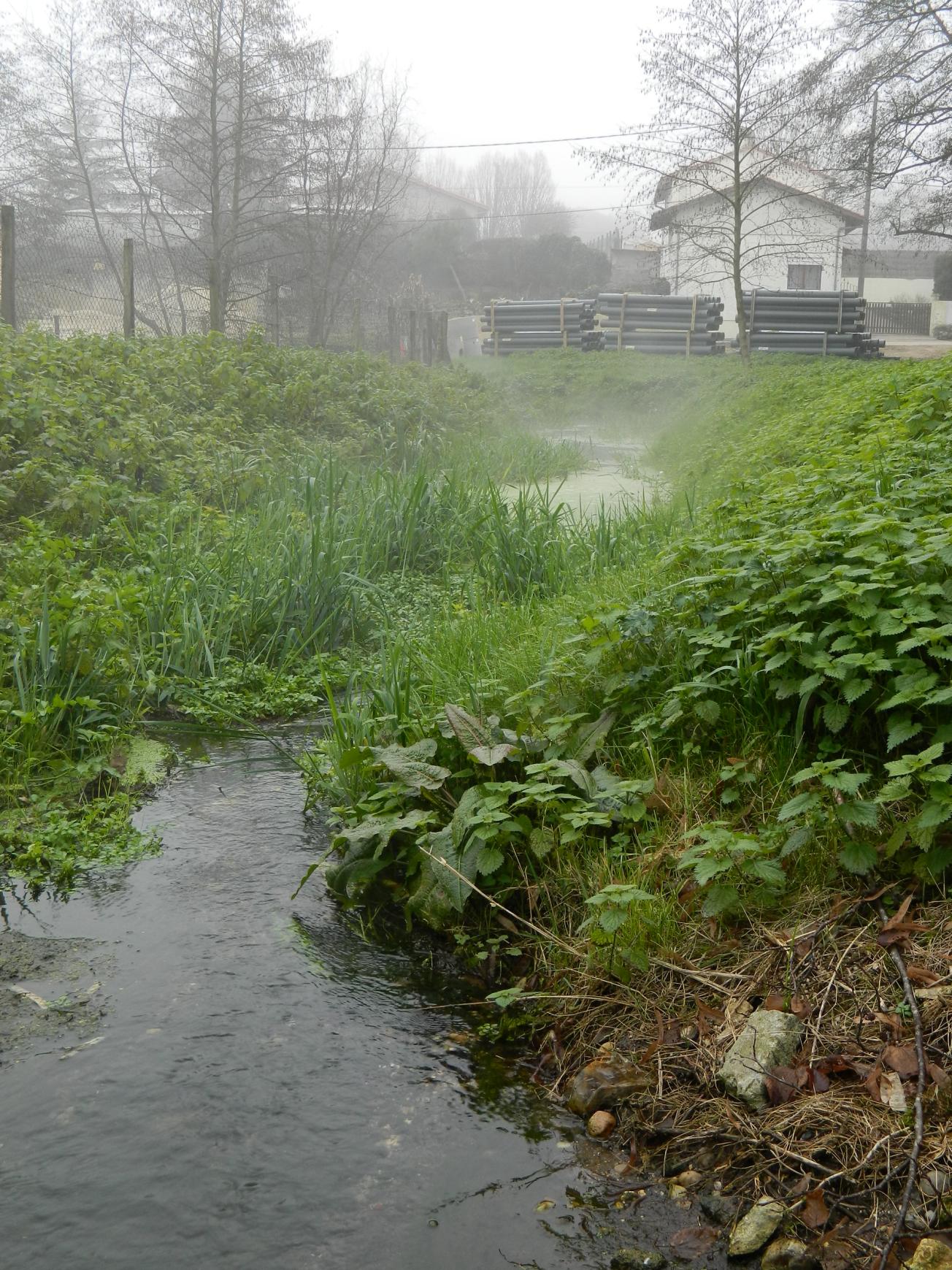 Figure 2 - Ecoulement d'eau à la sortie du lavoir