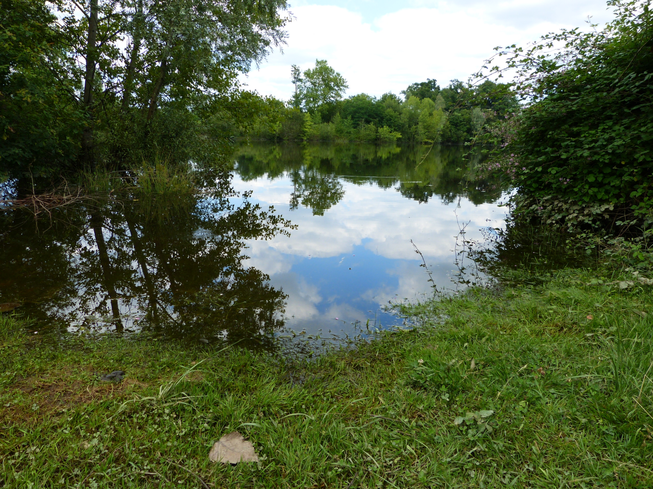 Figure 2 - Etang dans une gravière montrant le niveau de la nappe d'eau à quelques décimètres du sol en mai (© Platel JP., 2015)