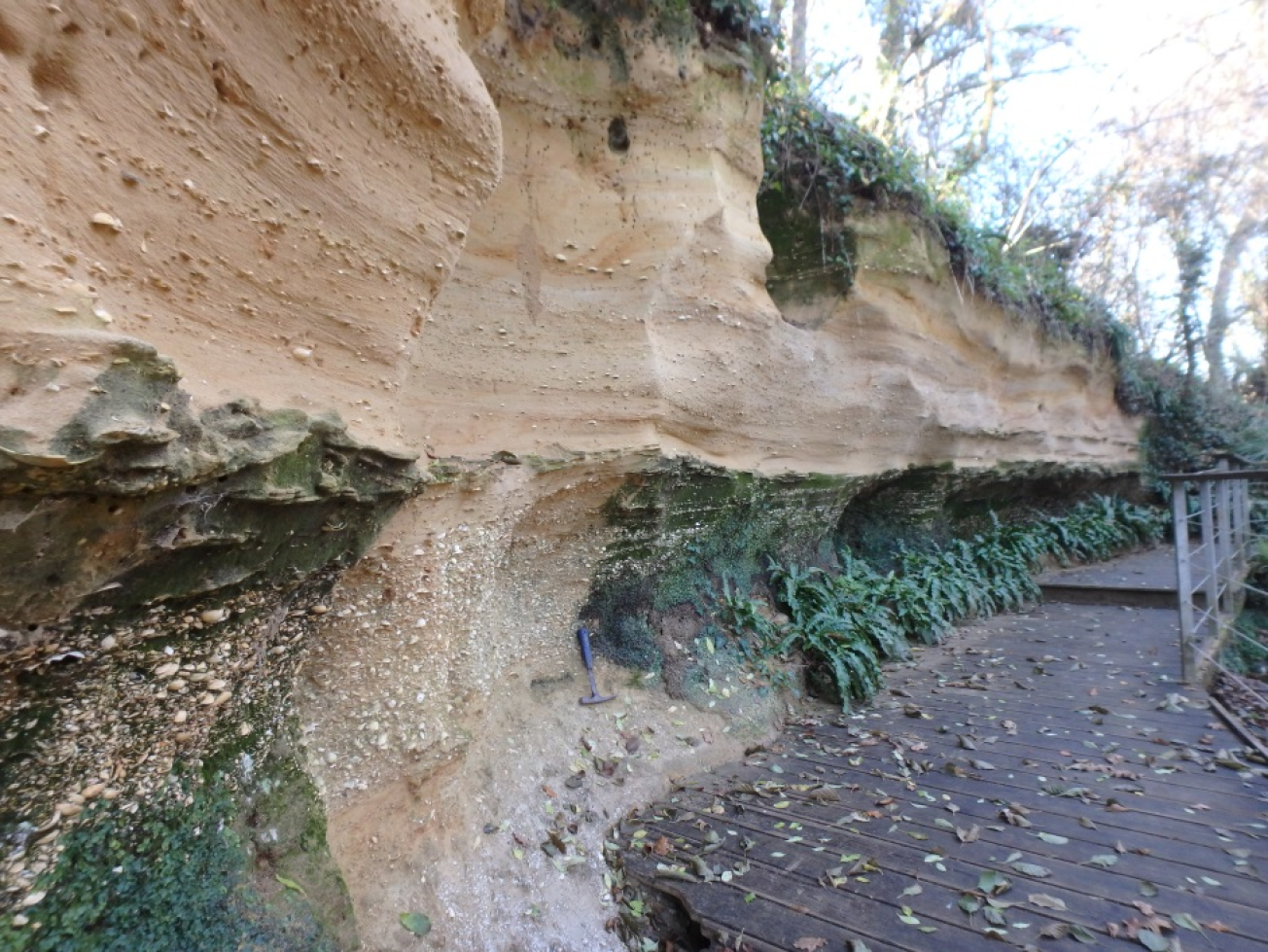 Figure 2 - Falun de Pont Pourquey (©Bourbon P., 2017)