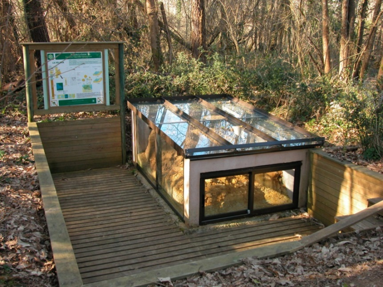 Figure 2 - Musée du site de Péloua (©Réserve Naturelle géologique de Saucats - La Brède)