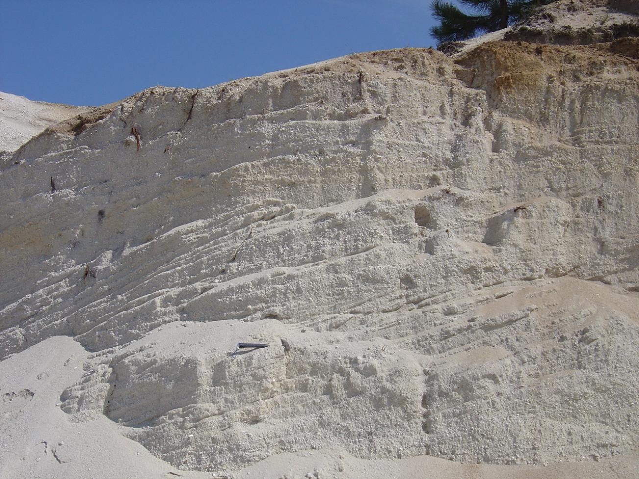 Figure 2 - Stratifications obliques - sablière de Belin-Béliet