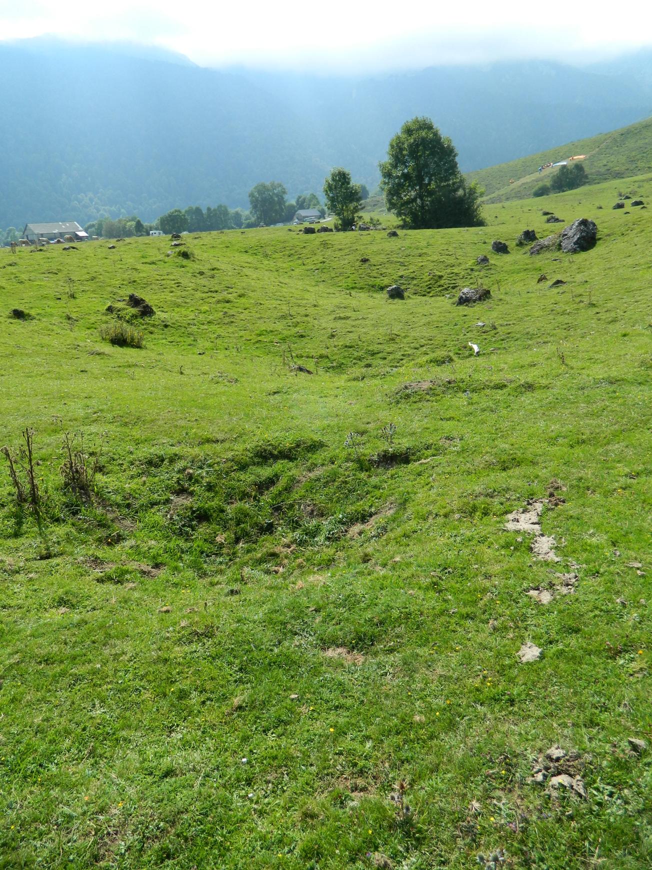 Figure 3 - Alignement de dolines sur le plateau de Benou (Gutierrez T., 2013)