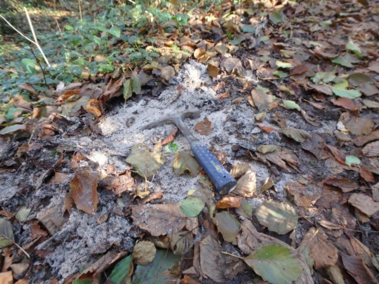 Figure 3 - Sable des Landes (©Bourbon P., 2017)