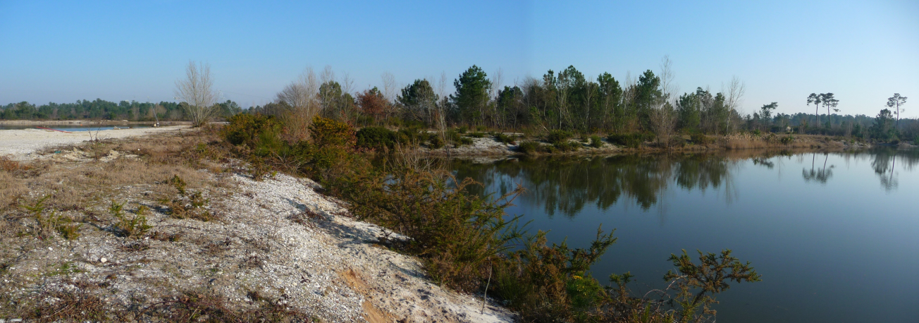 Figure 4 - Niveau de la nappe d'eau dans l'ancienne gravière de Casalié (© Platel JP., 2015)