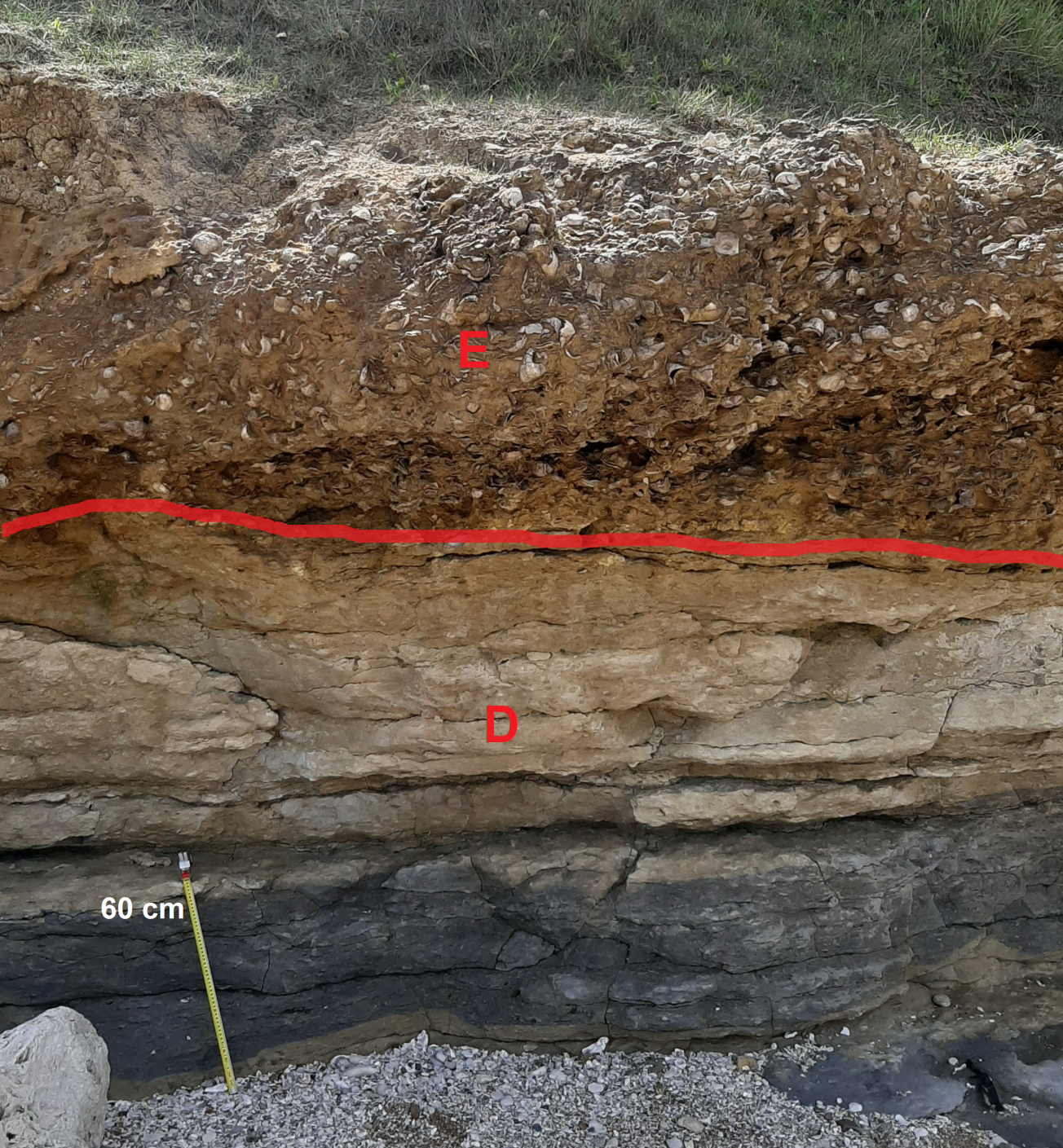 Figure 4 - Photo des couches basales du Cénomanien supérieur ((c) BRGM,2023)