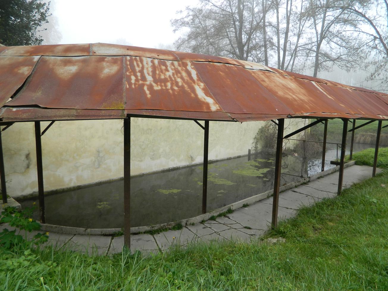 Figure 4 - Source du lavoir à Cérons (© Galey A., BRGM, 2012)