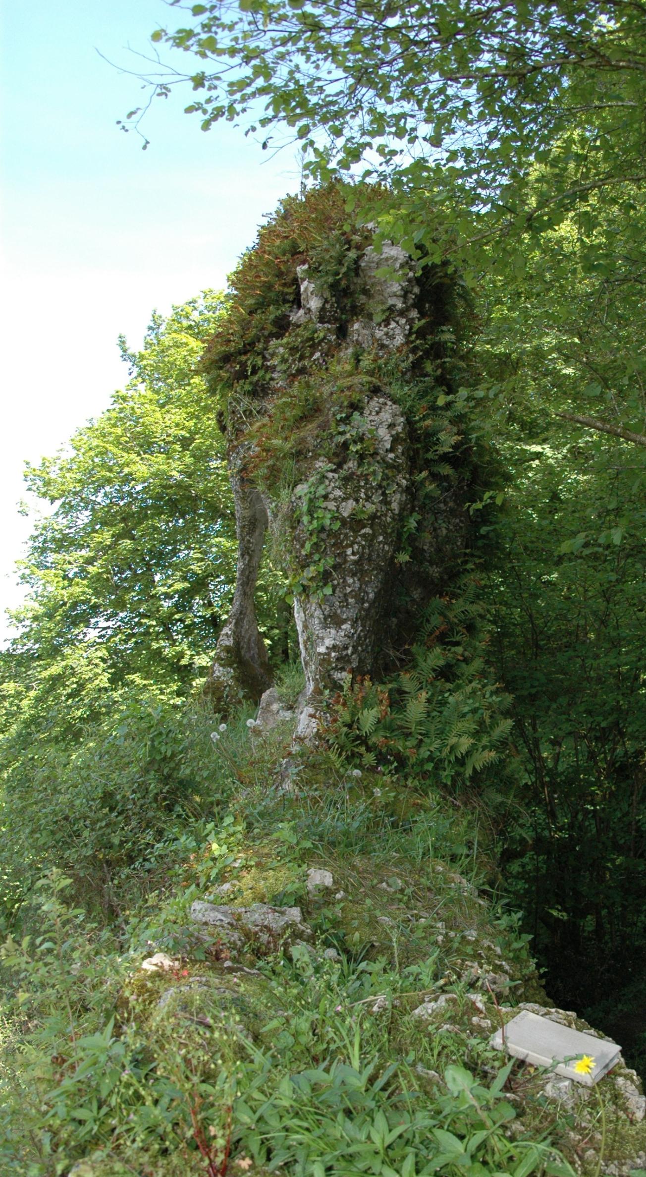 Figure 5 - « Oeil du Hibou » sur le Mur de Bédat