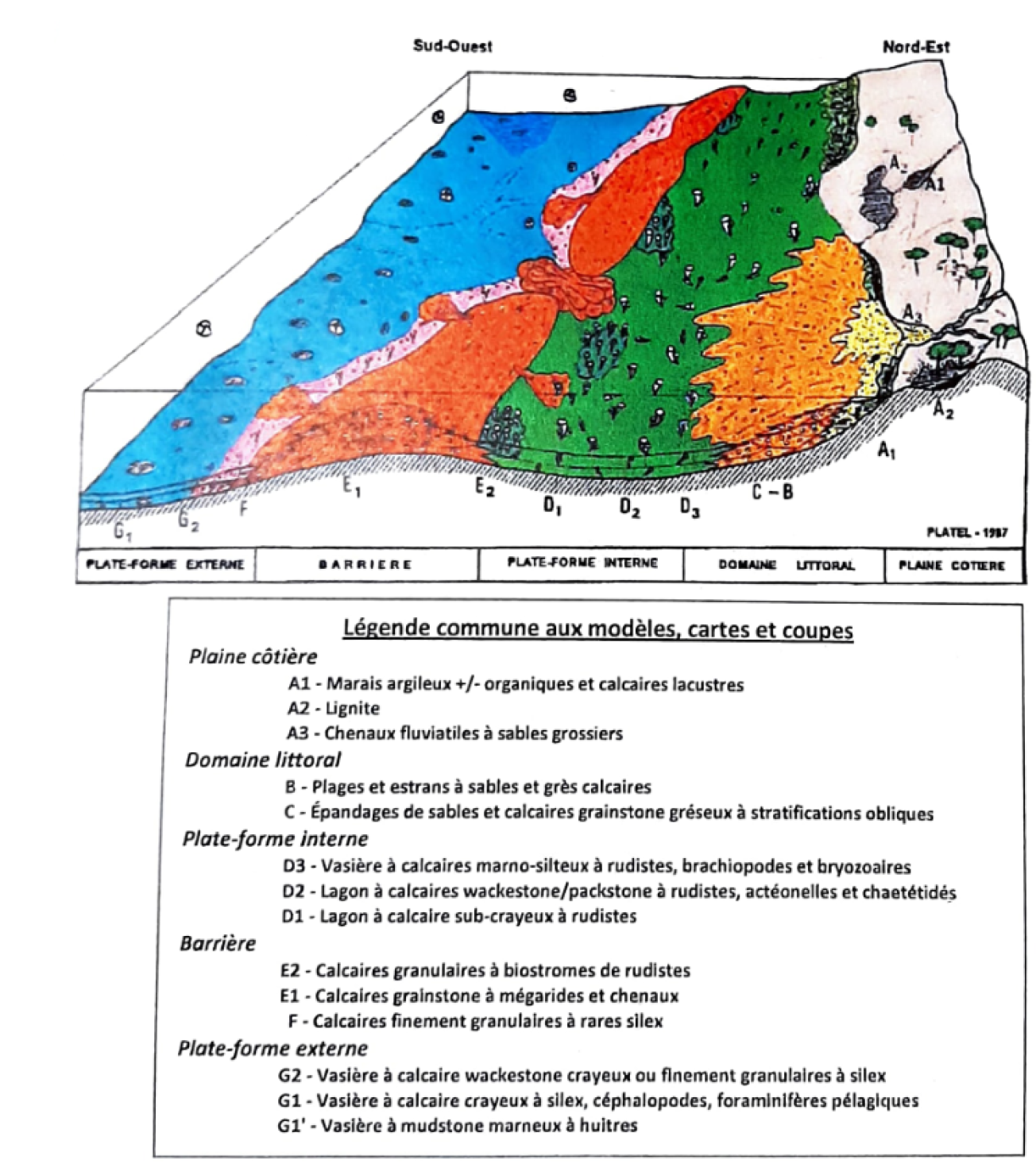 Figure 5 - Bloc diagramme retraçant les paléoenvironnements (©Platel)