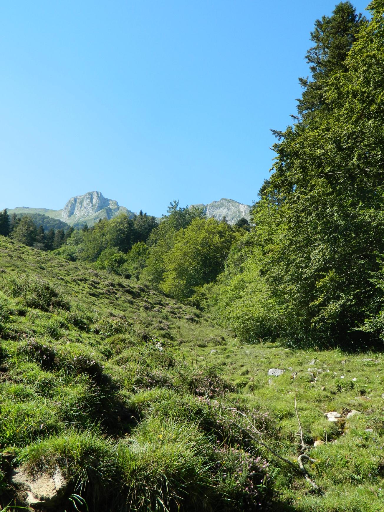 Figure 5 - Vallon à l'ouest du Turon de la Técouère, avec en arrière-plan le massif du Pic de l'Ourlène (Gutierrez T., 2013)