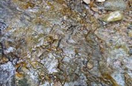 Saut de la Bourrique