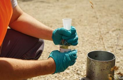 Vignette échantillonnage