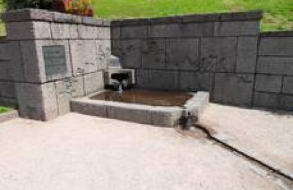 Source de la Moselle