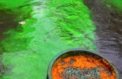 Traçage à la fluorescéine