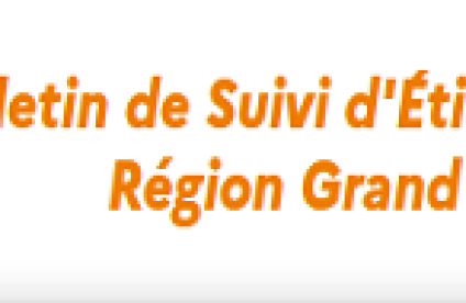 Bulletin de situation d'étiage (Région Grand Est)