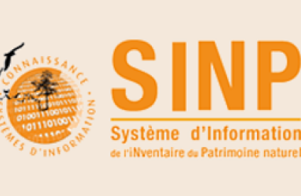 Logo SINP