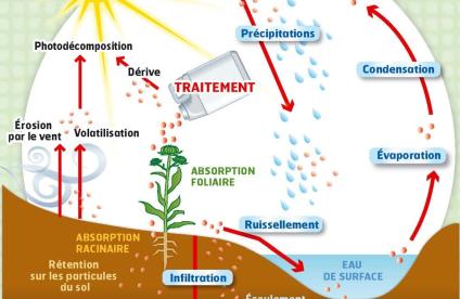 Schéma du circuit des pesticides dans l’environnement (source : lien horticole)