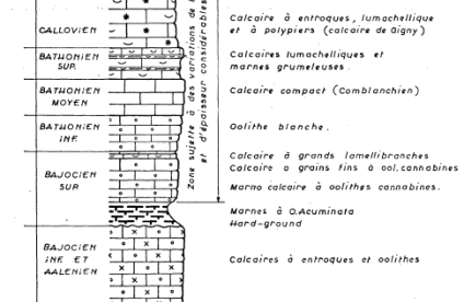 Succession des couches géologiques (COLLIN J.J., GAGNAIRE G., LIENHARDT G., 1974)