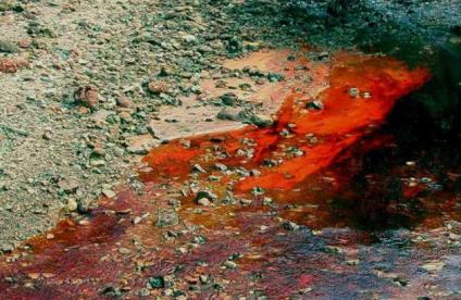 Illustration d'activité BASOL