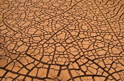 Fentes de dessication