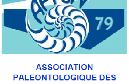 logo-APFCN-79