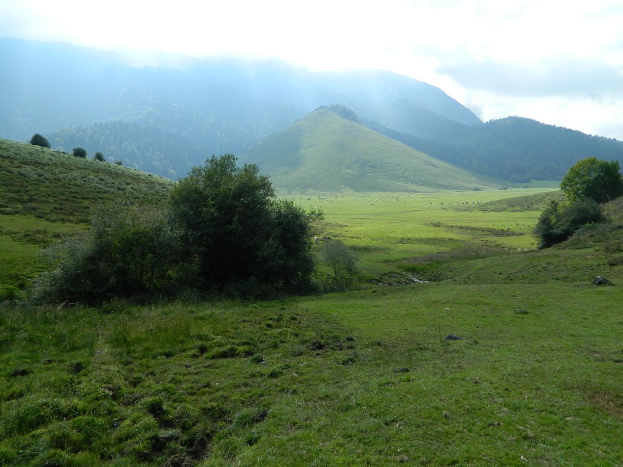 Aspect triangulaire caractéristique du Turon de La Técouère