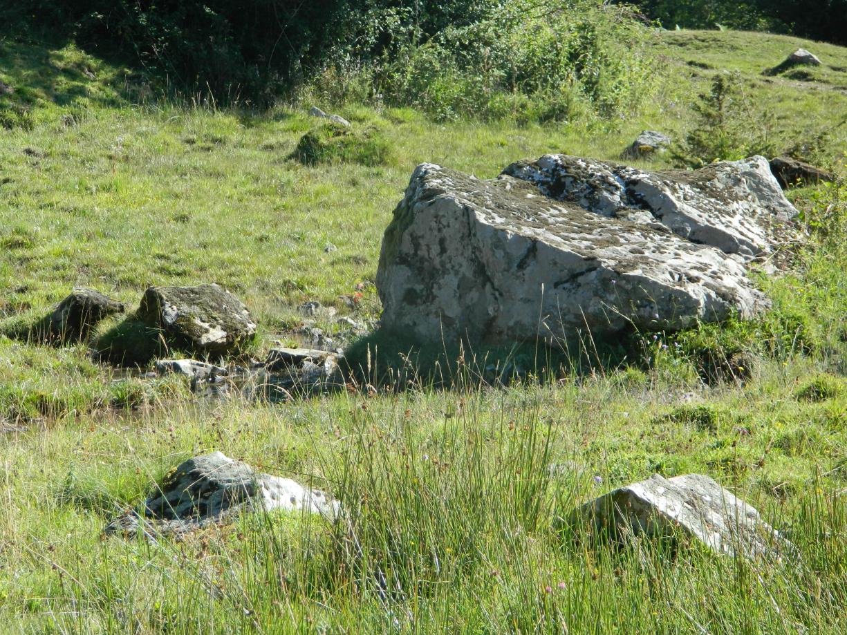 Bloc erratique aux sources de Houndas