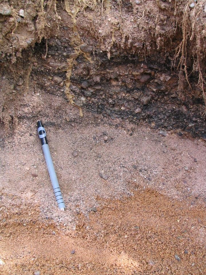 Alluvions de la Bruche (carrière de Griesheim-sous-Molsheim) 