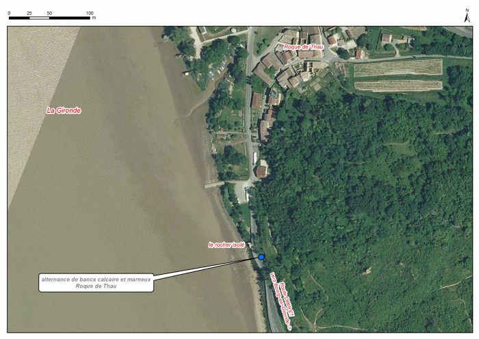 Localisation des affleurements décrits pour le site Roque de Thau (commune de Gauriac)