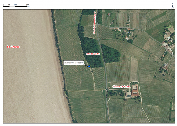 Localisation des affleurements décrits pour le site Bois de Barbe (commune de Villeneuve)