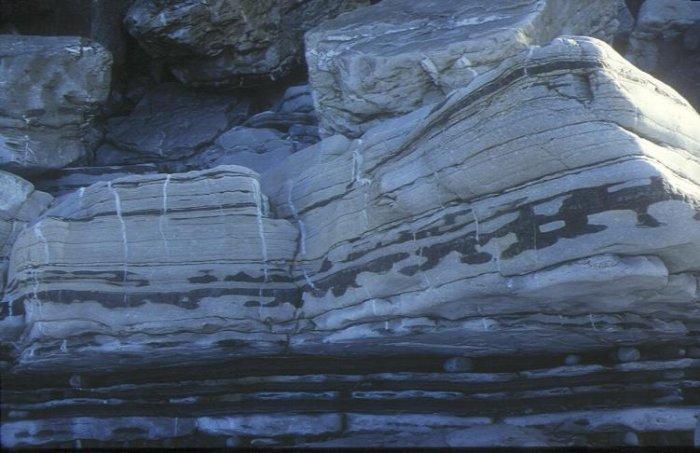 Flysch à silex (Guéthary)
