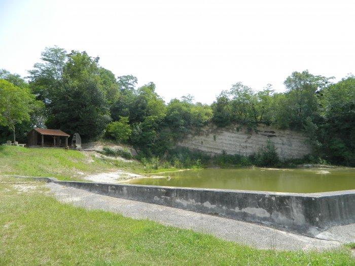 Ancienne carrière présentant les calcaires du Maastrichtien (Dumes)
