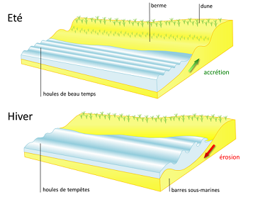 Dynamique saisonnière dans le profil de plage