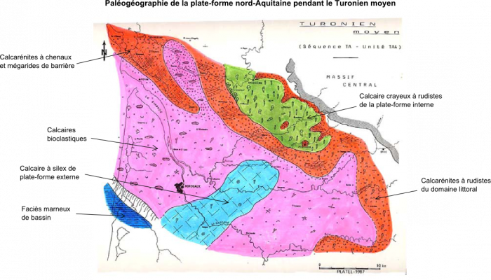 Paléogéographie de la plate-forme nord-Aquitain pendant le Turonien moyen