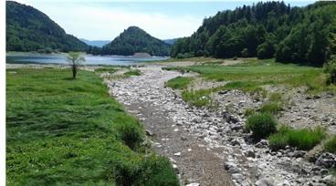 Vosges
