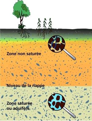 Zone saturée et zone non saturée
