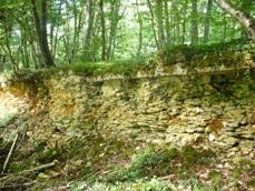 Calcaire du Bajocien inférieur dans la forêt de Neufeys (Lorraine, 2009) © BRGM