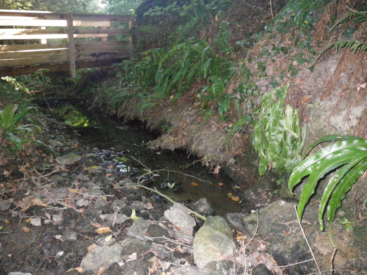 Rivière s’écoulant dans l’horizon fissuré du granite du Plessix-Balisson