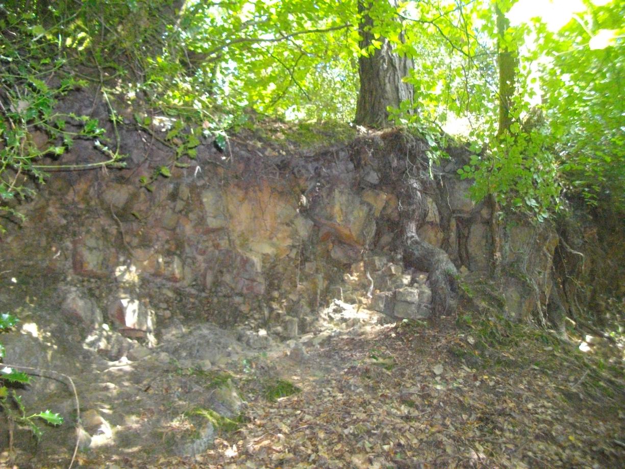 Affleurement de Grès Armoricains (Paimpont, en bas de la route de la station d’épuration)